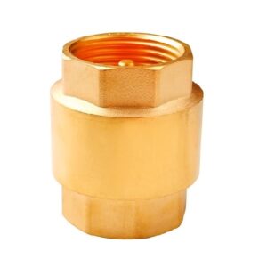 Válvula Retenção Vertical Europa