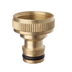 Tatay Latão Record Fêmea