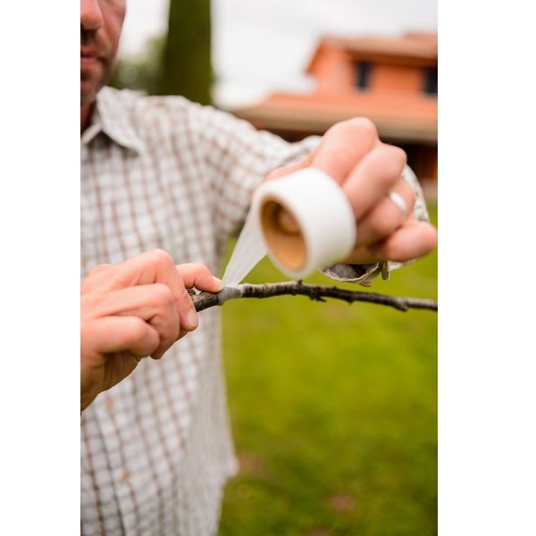 Fita de Enxertia Elástica Refª 2028 - Image 2