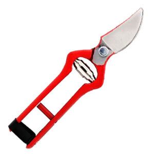 Tesoura de Poda Carpa 01A