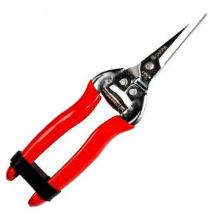 Tesoura Vindima Inox Carpa Refª 02K18