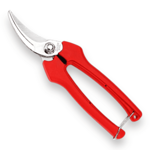 Tesoura Inox Bellota 23622