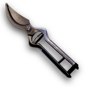 Tesoura de Poda Carpa 01D