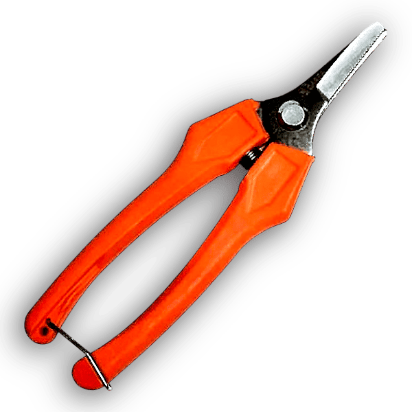 Tesoura Vindima Carpa Refª 02H17