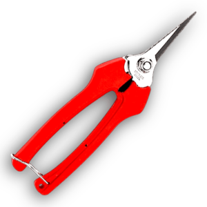 Tesoura Inox Bellota 23624