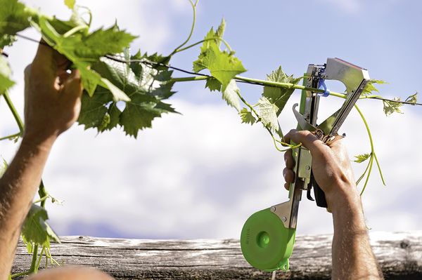 Máquina Atadora Stocker Refª 2055 p/ Cinta Entutorar - Image 2