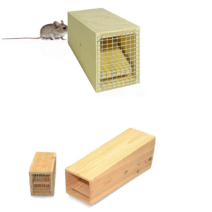 Armadilha Nunca Falha Contraplacado p/ Ratos