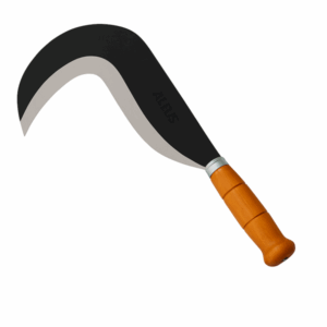 Podoa t/ Belmonte - Alfus